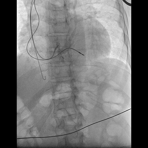 Dimitris Katsaras tweet media