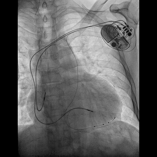 Dimitris Katsaras tweet media