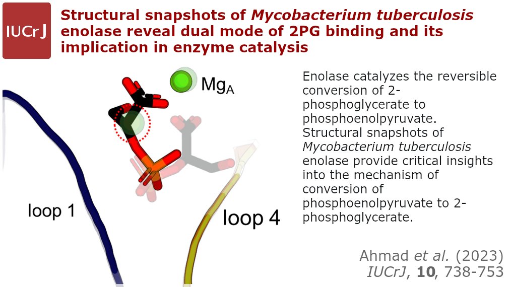 IUCrJ's tweet photo. Reversible catalysis by M. tuberculosis enolase @IUCrJ https://t.co/XkYtTyReCr @NImmunology #NII @PPUPatna @DBT_inStem @auedu_in #IDRI @GlobalHealth @seattlechildren @NCBS_Bangalore @TIFRScience @DBTIndia @serbonline @DAEIndia @MHRD #RUSA #cryoem @IUCr #openaccess https://t.co/Zb1uFatxbG