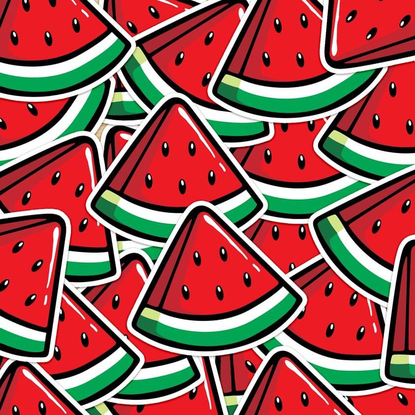 arace 🍉 tweet media