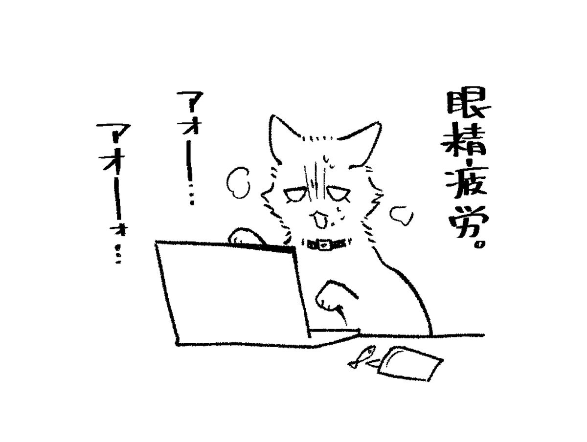 たいつにのせてまんぞくしてたのあったからぽい=^・ω・^=
