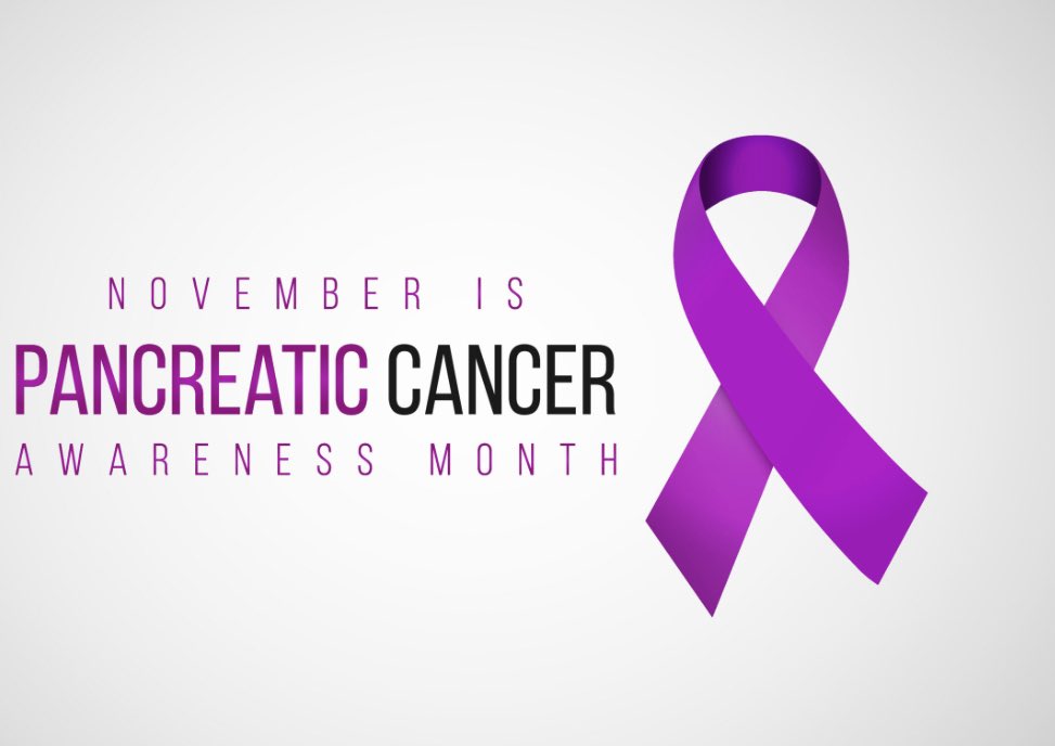 NewForestPCN's tweet photo. November is Pancreatic Cancer Awareness Month 💜 #PancreaticCancerAwarenessMonth @PancreaticCanUK https://t.co/h2YUn5Gsei