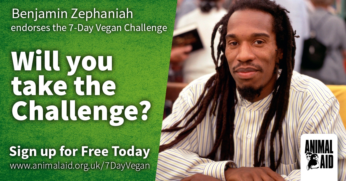 Thank you to author, poet, musician and activist, @BZephaniah, for endorsing the 7-Day Vegan Challenge. Sign up for free today: animalaid.org.uk/7DayVegan #WorldVeganMonth