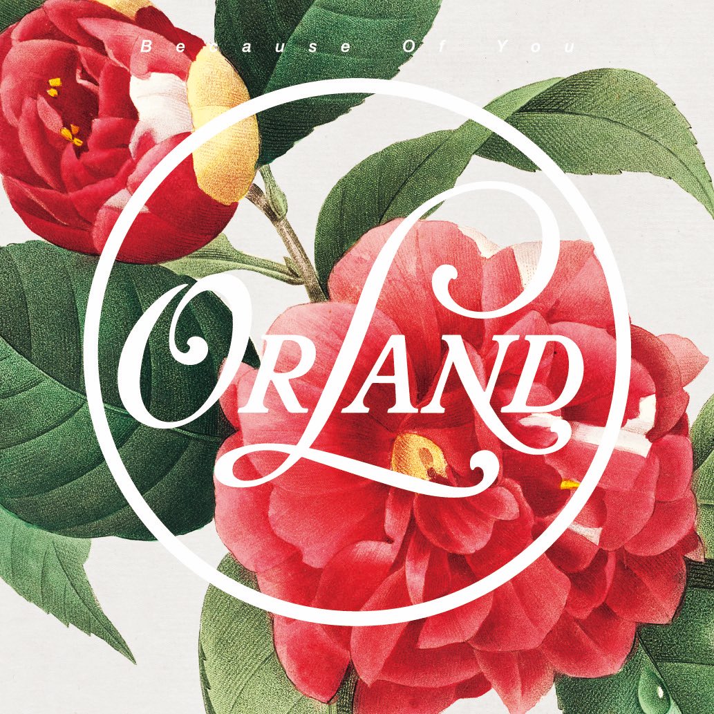 明日11月3日はレコードの日！

Because Of You (7") の発売日！
B面はNegiccoとのDo-De-Da！

各レコード店で販売です！是非チェックしてください！

A面 : Because Of You
B面 : Do-De-Da 〜Trimondo Negimina〜 feat.Negicco

#Orland
#Becauseofyou