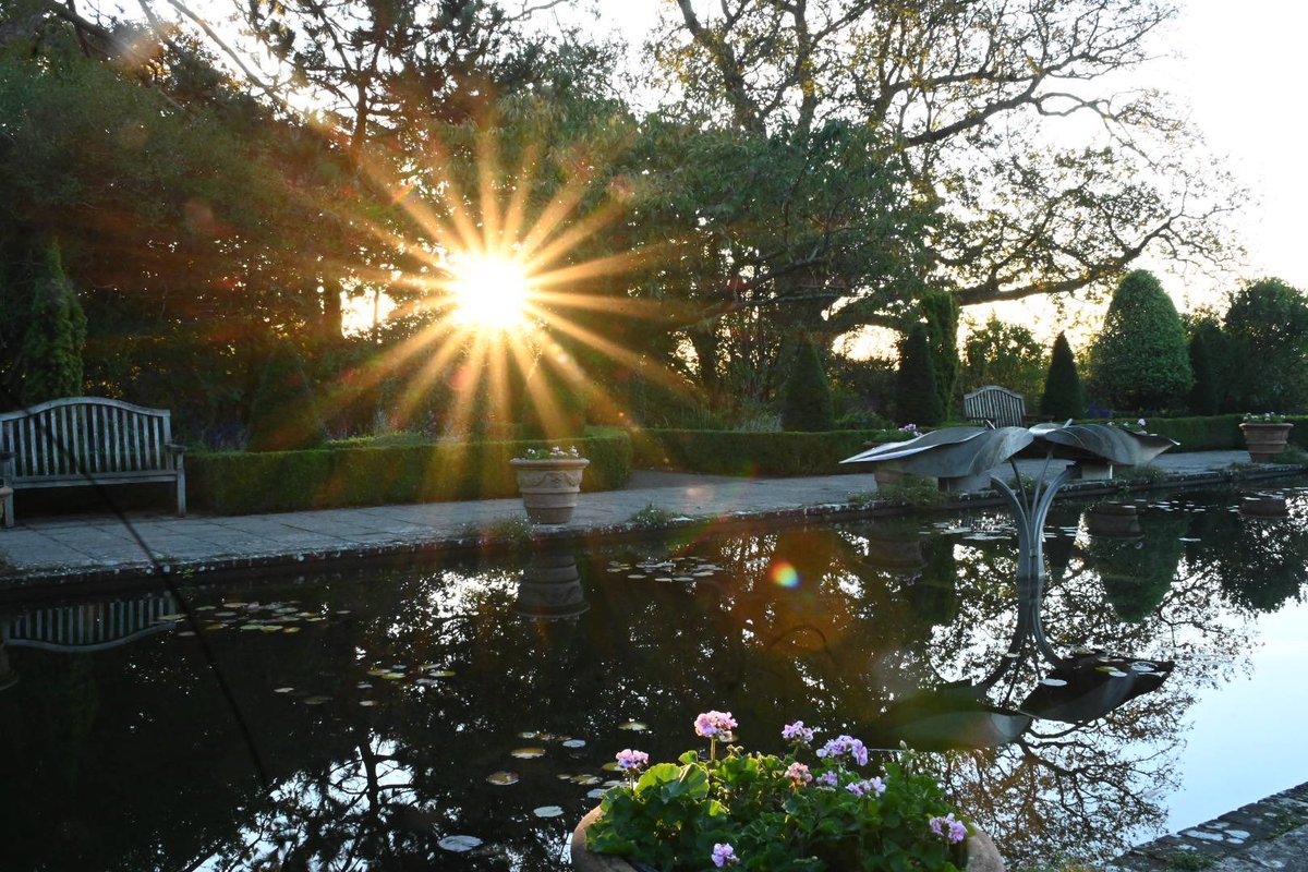 May the star of sunlight bring you peace today. Stay safe from all the wind and rain and hopefully all our homes and gardens remain intact. 
#storm #windyday #southeastengland #gardens