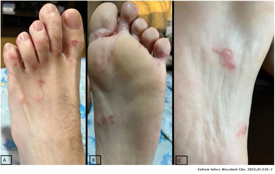 Antonio Guerrero tweet media