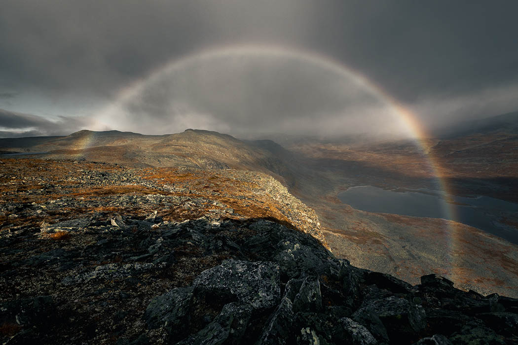 Nyt olisi hyvä aika hipsiä Suomen luontokeskus Haltiaan, jossa on näytillä Vuoden luontokuva -kilpailun parasta antia. Näyttely on esillä 7.1.2024 saakka. <a href="/HaltiaSuomi/">Haltia</a> #luonto #luontokuvaus

luontoon.fi/-/vuoden-luont…

Voittajakuva: Jethro Luhtaa