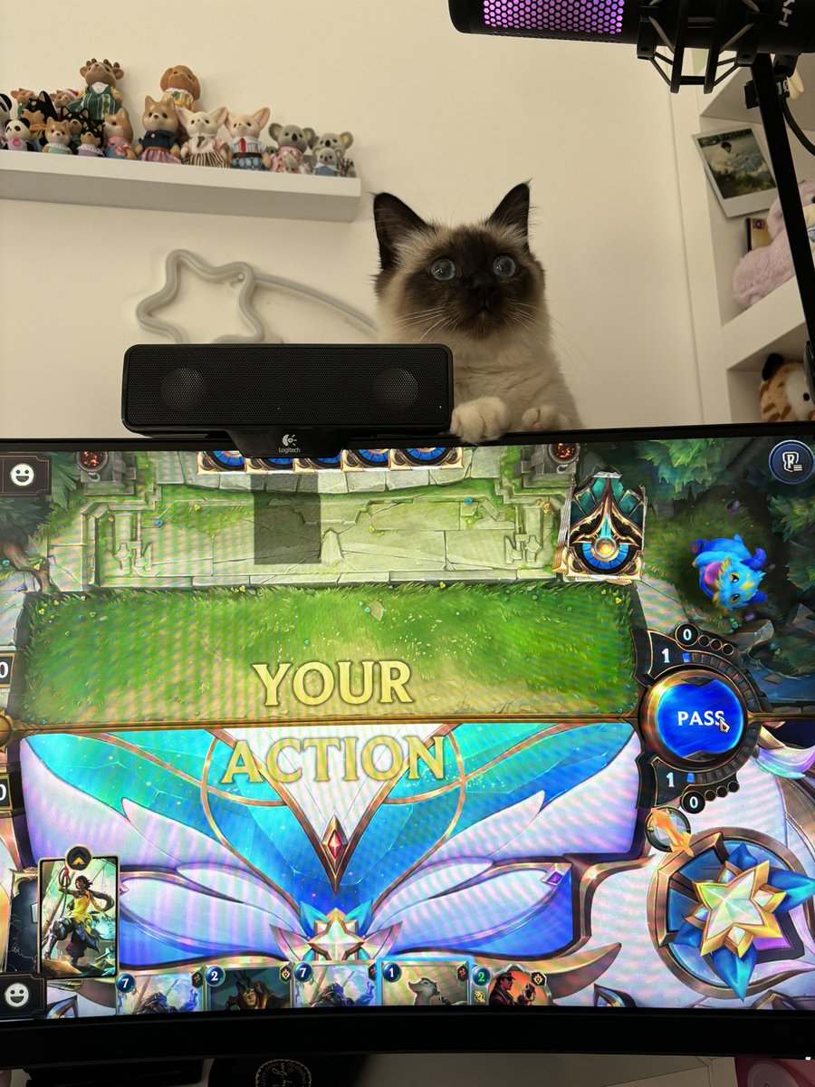 baemwe's tweet image. hello twitter. today i shocked yelli with my misplays.