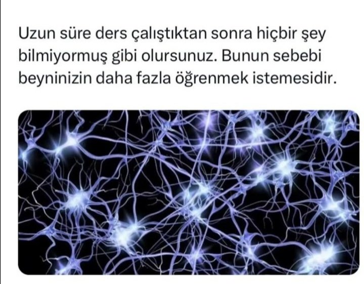 tugbatrgutt's tweet photo. bende diyorum neden olmuyo https://t.co/LIF9nGu2uh