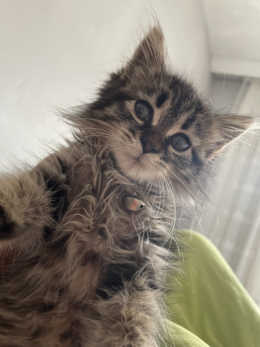 Gm $RATIO Benim gibi puanı aynı kalan kaç kişiyiz ?