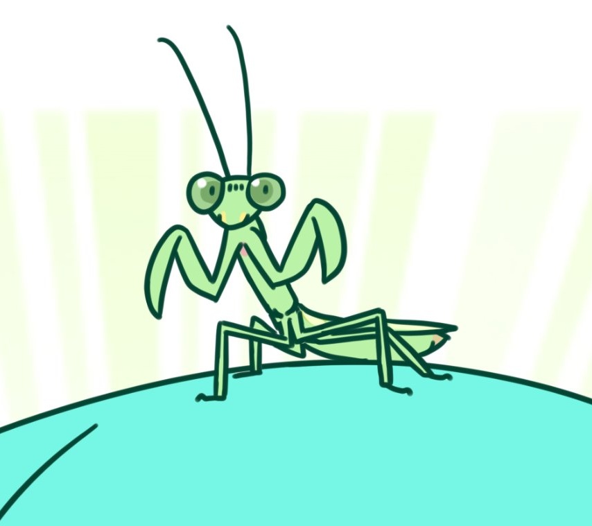 「カマキリの理解度 」|はつねネガメのイラスト