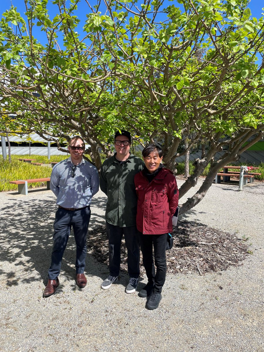 So great to have our friends Tetsuya Ohara and Milan Thompson (Ripcurl) swing by for a tour of the Hub/Future Fibres Facility. Perfect weather to take a photo by our tree, from an original cutting of the one that dropped an apple on Isaac Newton's noggin.
<a href="/DeakinIfm/">Deakin IFM</a>   <a href="/ripcurl/">Rip Curl</a>