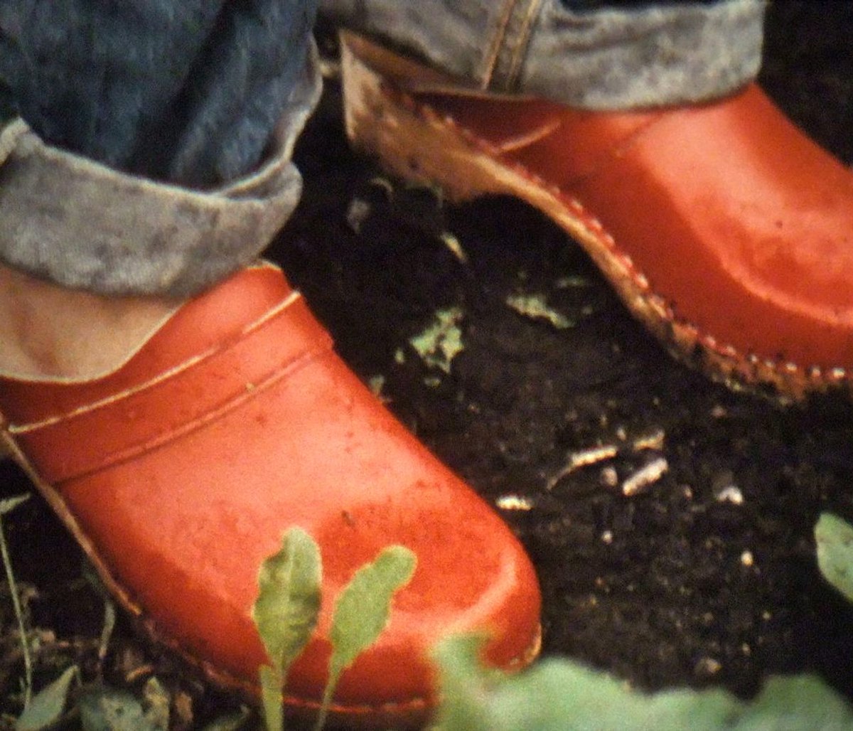 ContainerBFS's tweet photo. Not our screening, but one we want to highlight: @QAGOMA  and its free presentation of The Films of Ute Aurand, Robert Beavers and Gregory J Markopoulos.

With Ute and Robert in attendance.

https://t.co/8Smlovh8uX https://t.co/pGwE8Z0Z7n