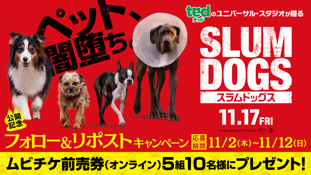 tohocinemas_m's tweet photo. 🐶11/17(金)公開 
「スラムドッグス」※PG12
Xフォロー&amp;リポストキャンペーン

ムビチケ前売券(オンライン)を
抽選で5組10名様に🎁
締切:11/12(日)

👇応募
①@tohocinemas_mをフォロー
②このポストをリポスト
https://t.co/jWCb5fv38z

@slumdogs_JP

#映画スラムドッグス 
#TOHOシネマズ https://t.co/cAH9HhzkXV