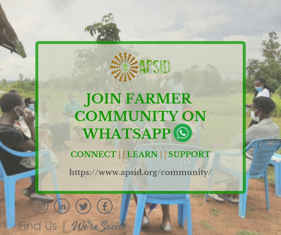 Calling all farmers! Join our vibrant farmer community, where knowledge grows like crops in the field!  Share your experiences, learn new techniques, and connect with fellow growers from across the country. Let's grow together! #APSIDFarmerCommunity #FarmersUnite #WeAreAPSID