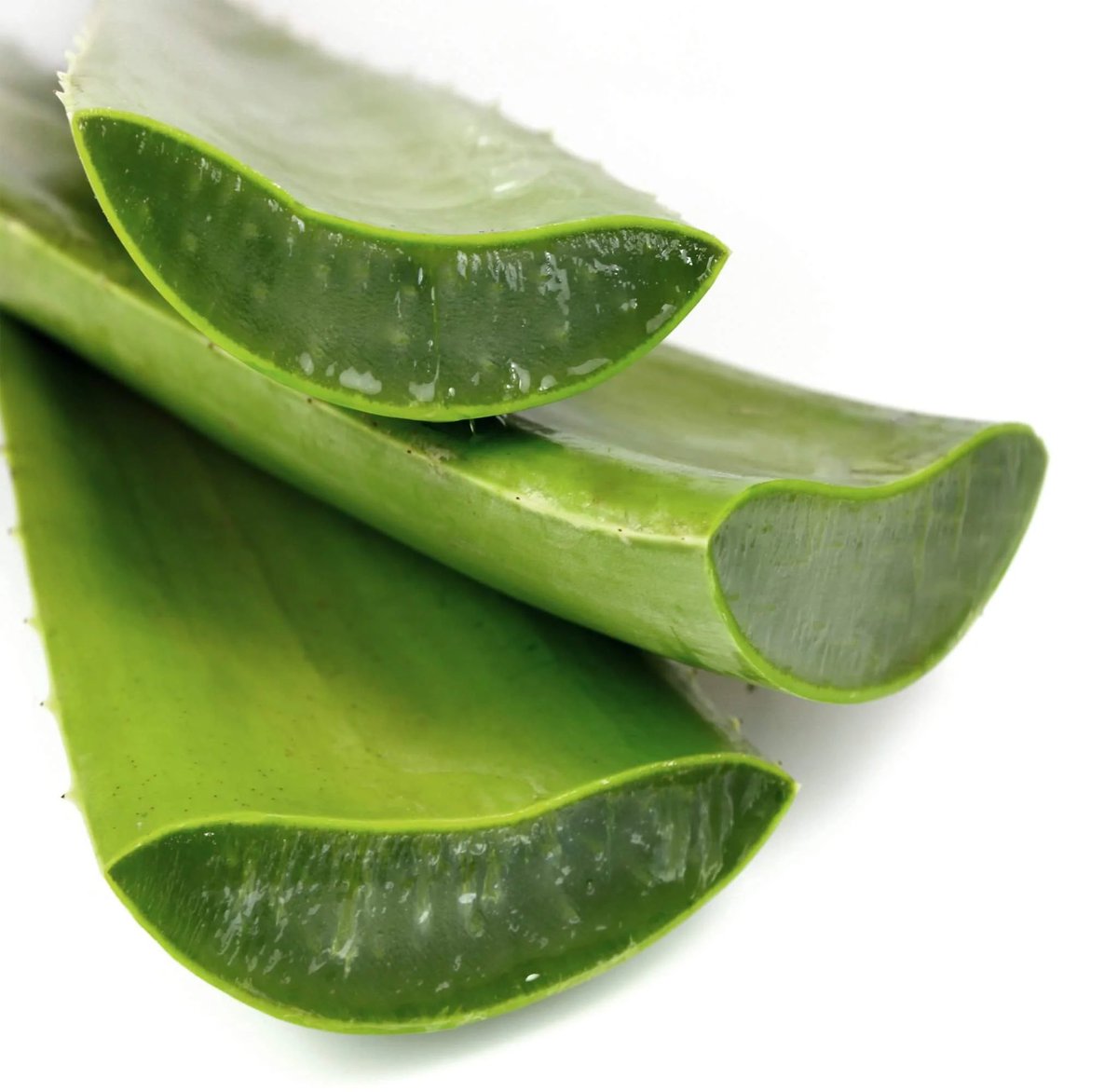 ChiefHerbalist tweet media