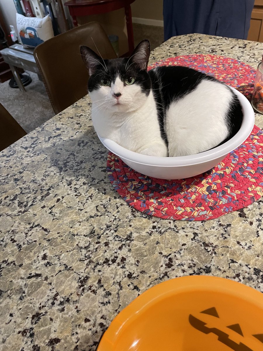 My mum was going to fill up the bowl of candy but I sat there first.  I’m Charlie