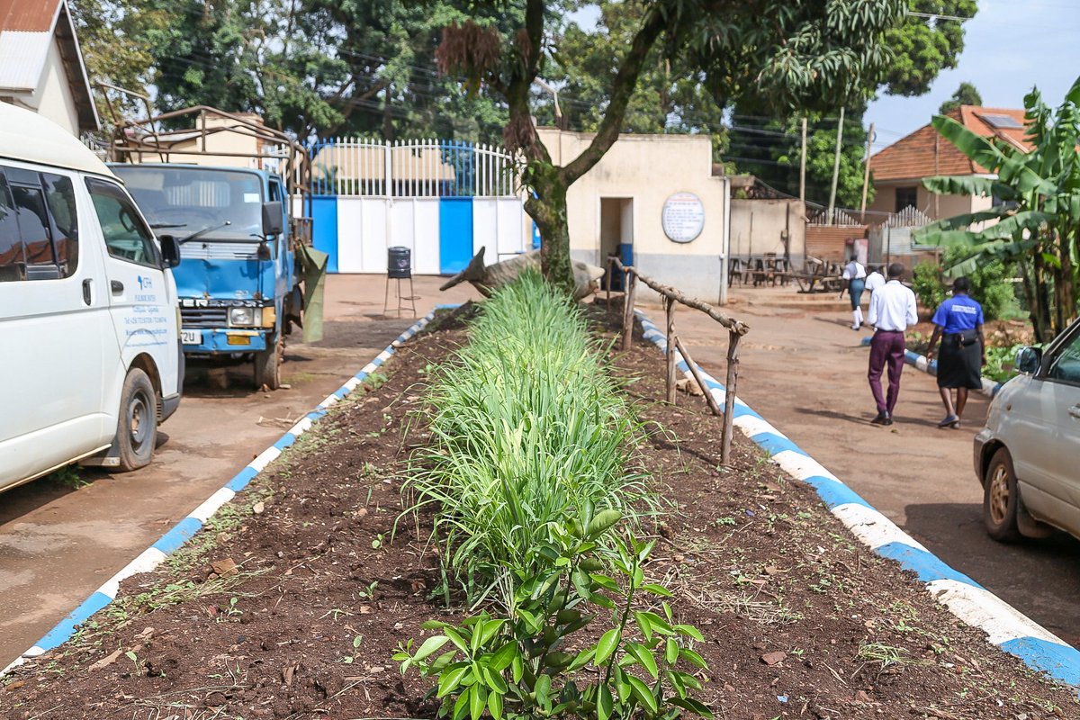 With the use of organic manure from the dumping pits of the school,

They also use rabbit urine and lemon grass as pestsides for the gardens.

Giving platform to others students to join and gain the skill set paving way for continuity.

#ItCanBe
#StanbicUgChampions
#ecofriendly