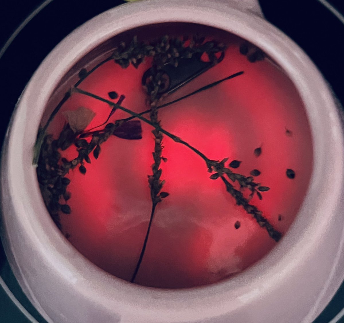 DoodleArt (@doodleartalice) on Twitter photo 