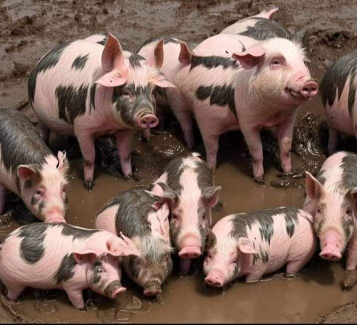 غمض عينيك لترى الحقيقة🥴