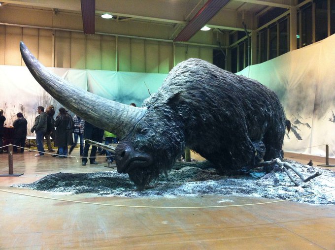 Elasmotherium ('Thin Plate Beast') is an extinct genus of rhinoceros endemic to Eurasia during the Late Pliocene through the Pleistocene, documented from 2.6 Ma to as late as 29,000 years ago in the Late Pleistocene