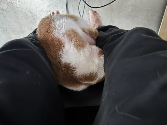 守らねば
