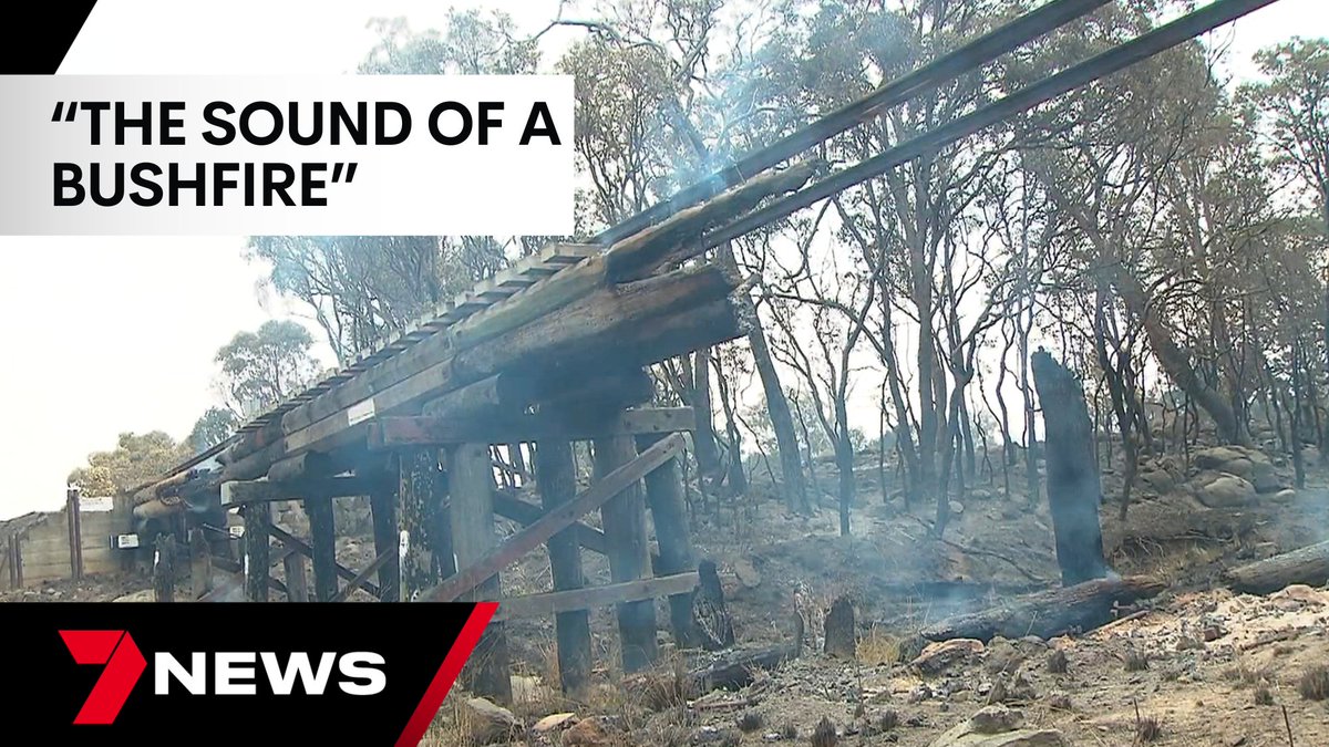 7NewsBrisbane's tweet photo. Firefighters are working tirelessly, getting the upper hand on dozens of blazes burning right across the state. In the Southern Downs the threat has eased as video emerges of the fire fight residents faced. https://t.co/wBf6Gf0Tlm @JoelDry7 @jacquelinrobson #7NEWS #qldfires https://t.co/JcEiFsdMwc