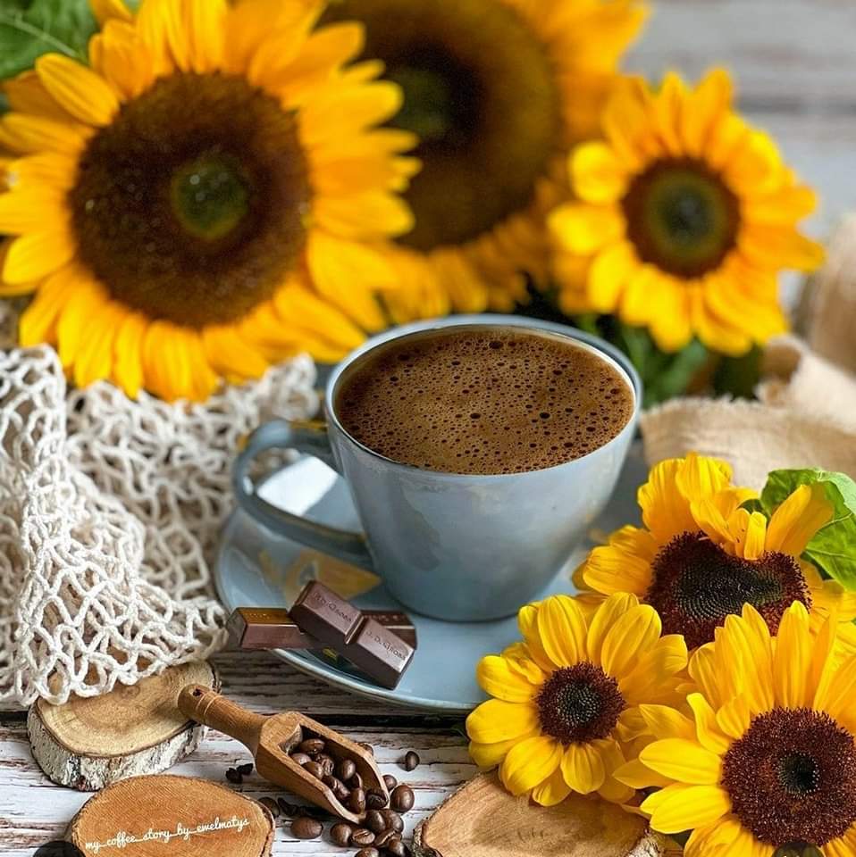 ______

Herkes uyuyunca dinlenip uyanır...
Ben bu aralar bacak ağrısıyla yorgun uyanıyorum... 🙄

Neyse yinede #gunaydın ☕

______