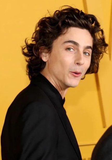 Dariasp2's tweet photo. Timothée at The Wall Street Journal Awards. #Timot https://t.co/NU14QpsyBJ