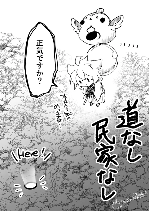 スズメに運ばれ森に落とされたこぎちゃん 