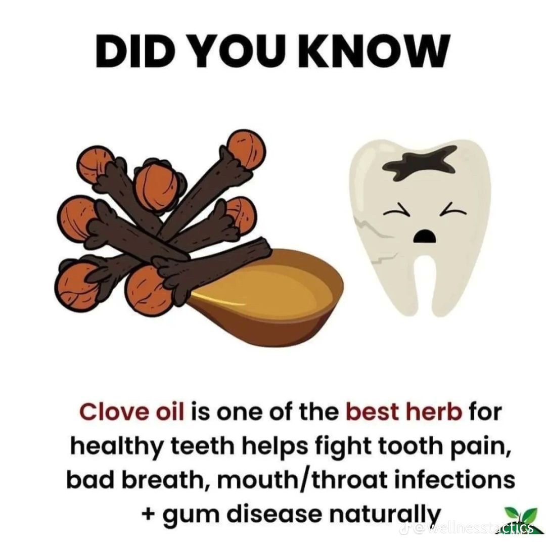 Some Natural Health Remedies You Never Knew Existed.

1. Clove oil