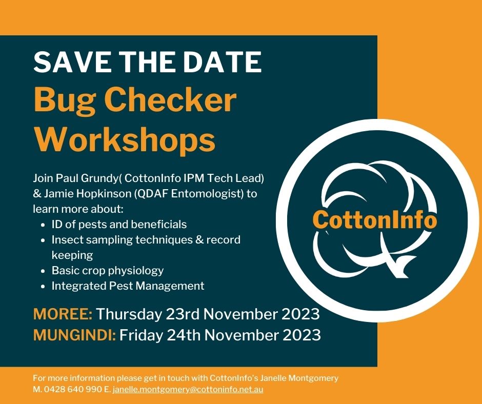 🐞It's officially November and you know what means - it's bug checker workshop season!🐞There's a few coming up this month with some more in December. Make sure to keep an eye on the CottonInfo events calendar for all the details. cottoninfo.com.au/calendar/month