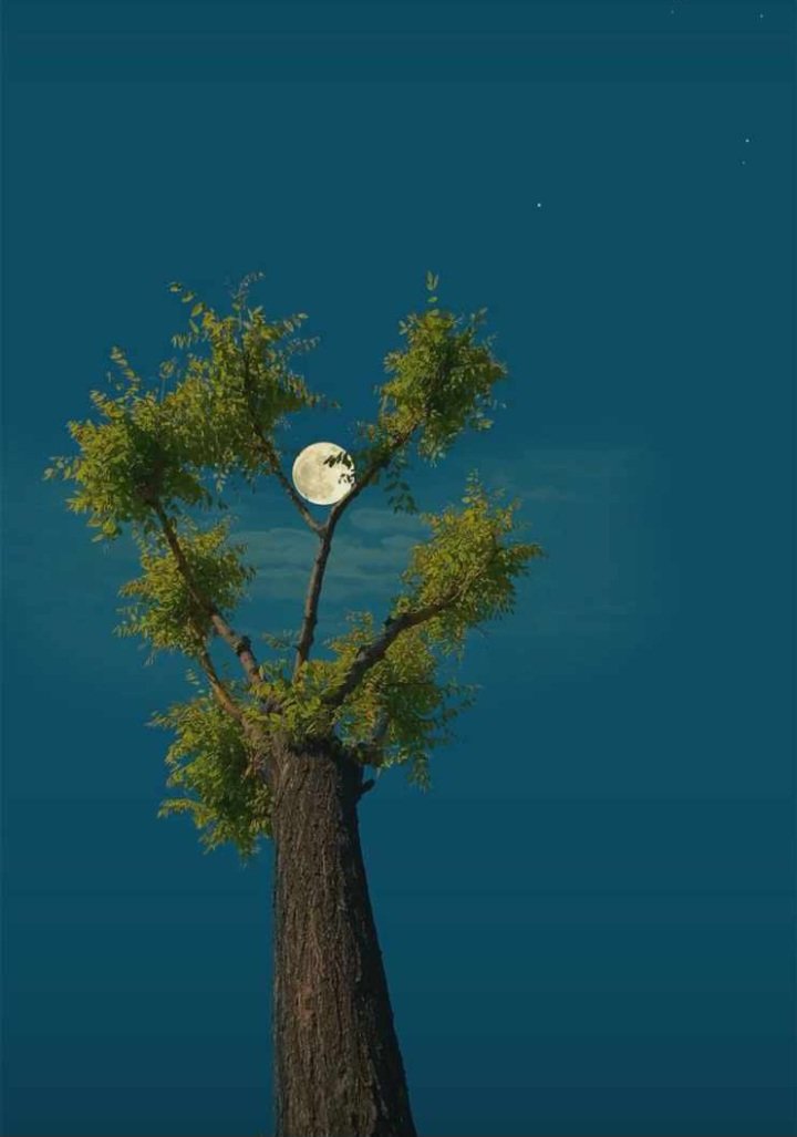 Research_wrld's tweet image. It’s that time again, guys!!

 Drop your handle. Let ’s connect 

2:57am
02.11.2023