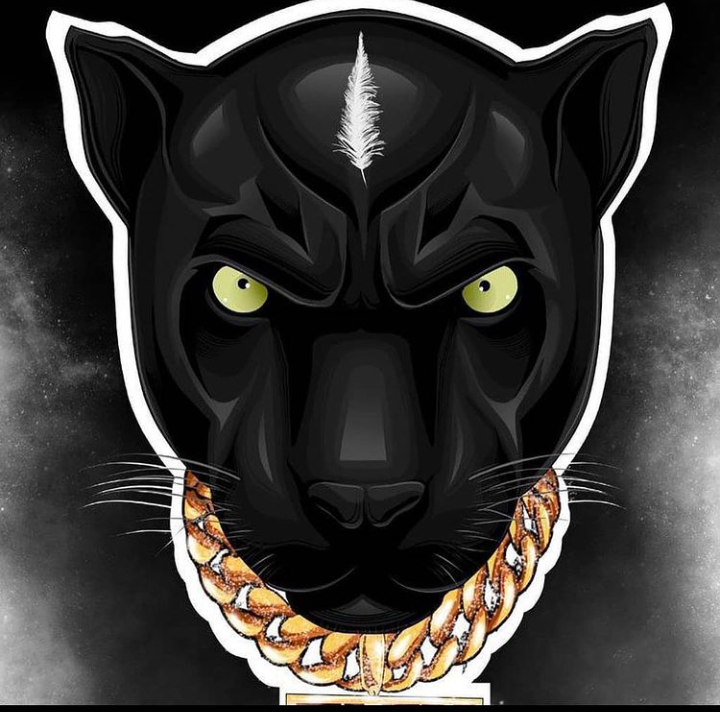 nick  b romeo tweet media