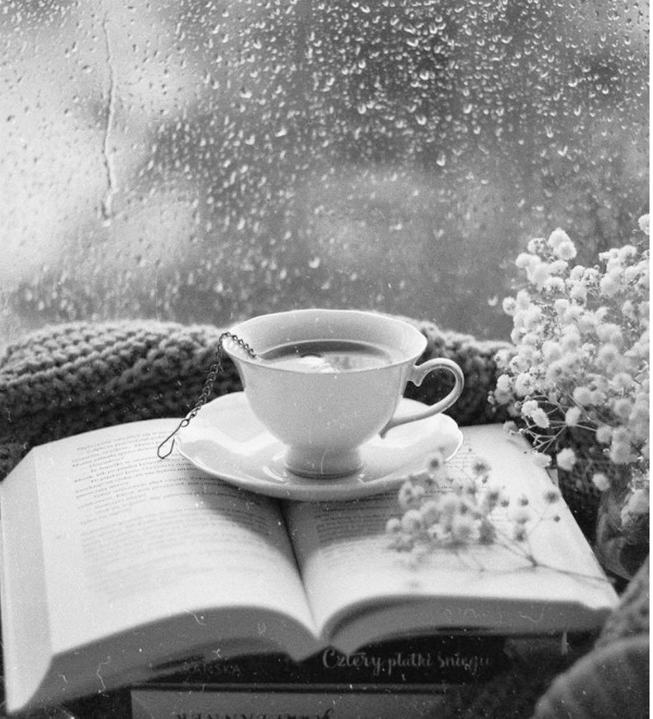 Sandra Barrow 🌇🏞️ tweet media