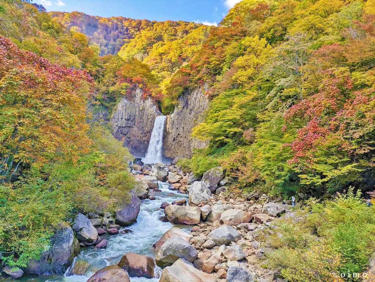 kodure_odekake's tweet photo. 苗名滝（新潟県妙高市）の紅葉も子どもと見に行ってみました！

山道を15分歩くけど、子連れでも何とか行ける紅葉スポットでした😊

絵はがきのような構図がとても感動的😳✨

#新潟 #紅葉2023 https://t.co/IyPMwFsCaU