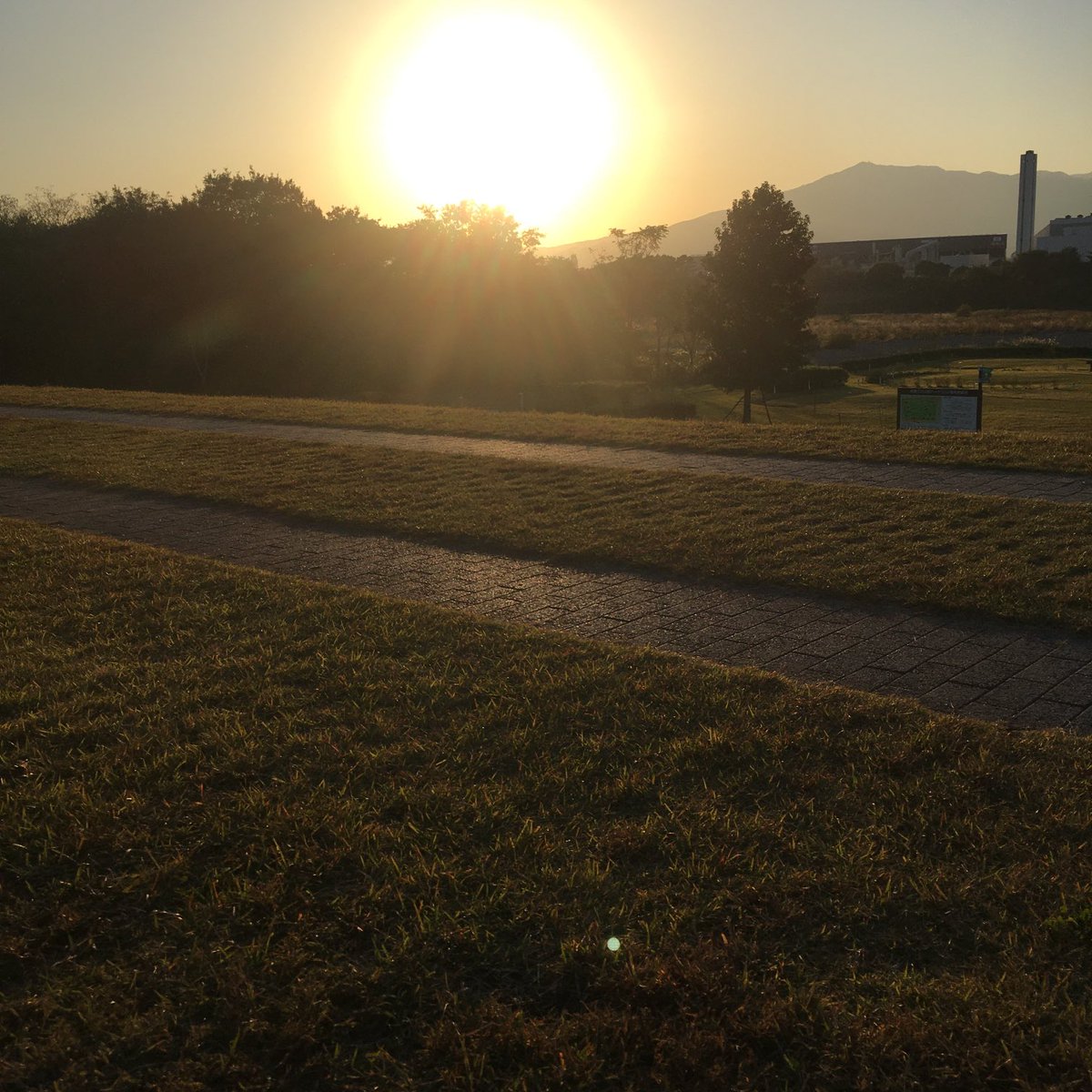 SatoshiSumida1's tweet image. 撮影したら、凄まじき大きさに。
#夕陽 #sunsetting