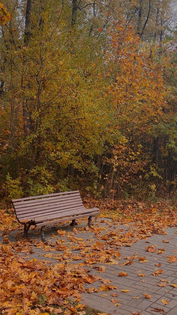 sofia_mur_69's tweet image. Walking with my girlfriend through a park in Berlin and look how beautiful and authentic it is. 

It's fantastic how simple things can look amazing. 

👉Welcome to my ton.place/sofiamur

#model #onlyfans #adult #nude #nature