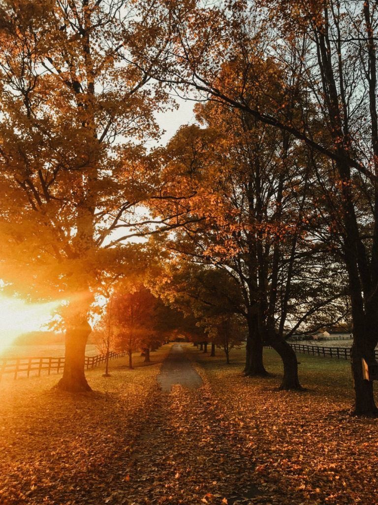 Aways believe that something wonderful is going to happen. #Nature #Autumn #outdoors