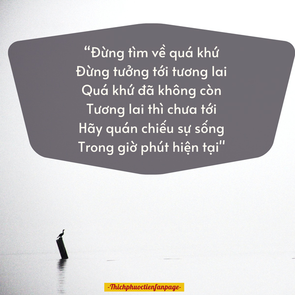 quy ❤️ Memecoin tweet media