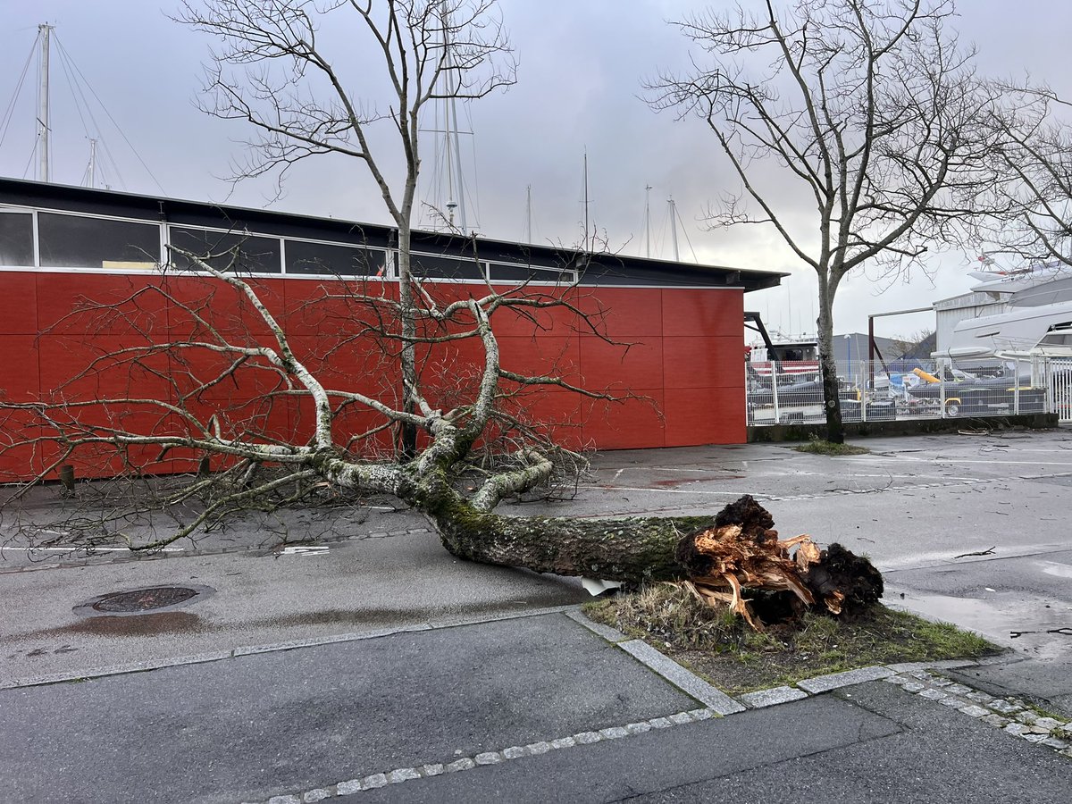 Le jour se lève sur #Lorient. Les dégâts semblent « limités » bien que présents, je m'attendais à pire. Quelques rares arbres au sol, beaucoup de morceaux de toit tombés dans le centre ville. #Ciaran #morbihan
