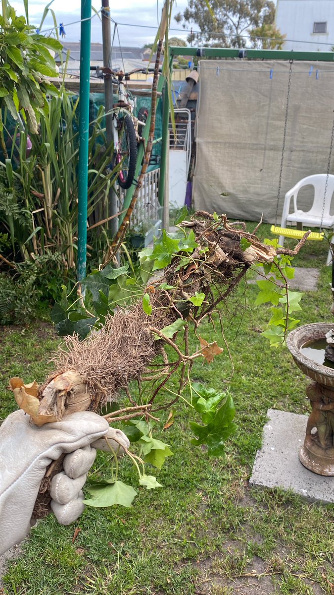 Gaias vengeance ghost skin irl