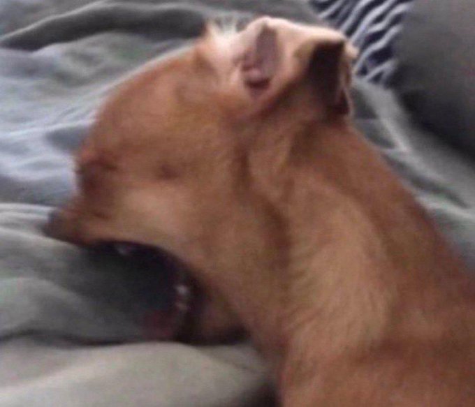 Hunger made me this morning to regret the rice I rejected at Emeka's mother's burial in 2015