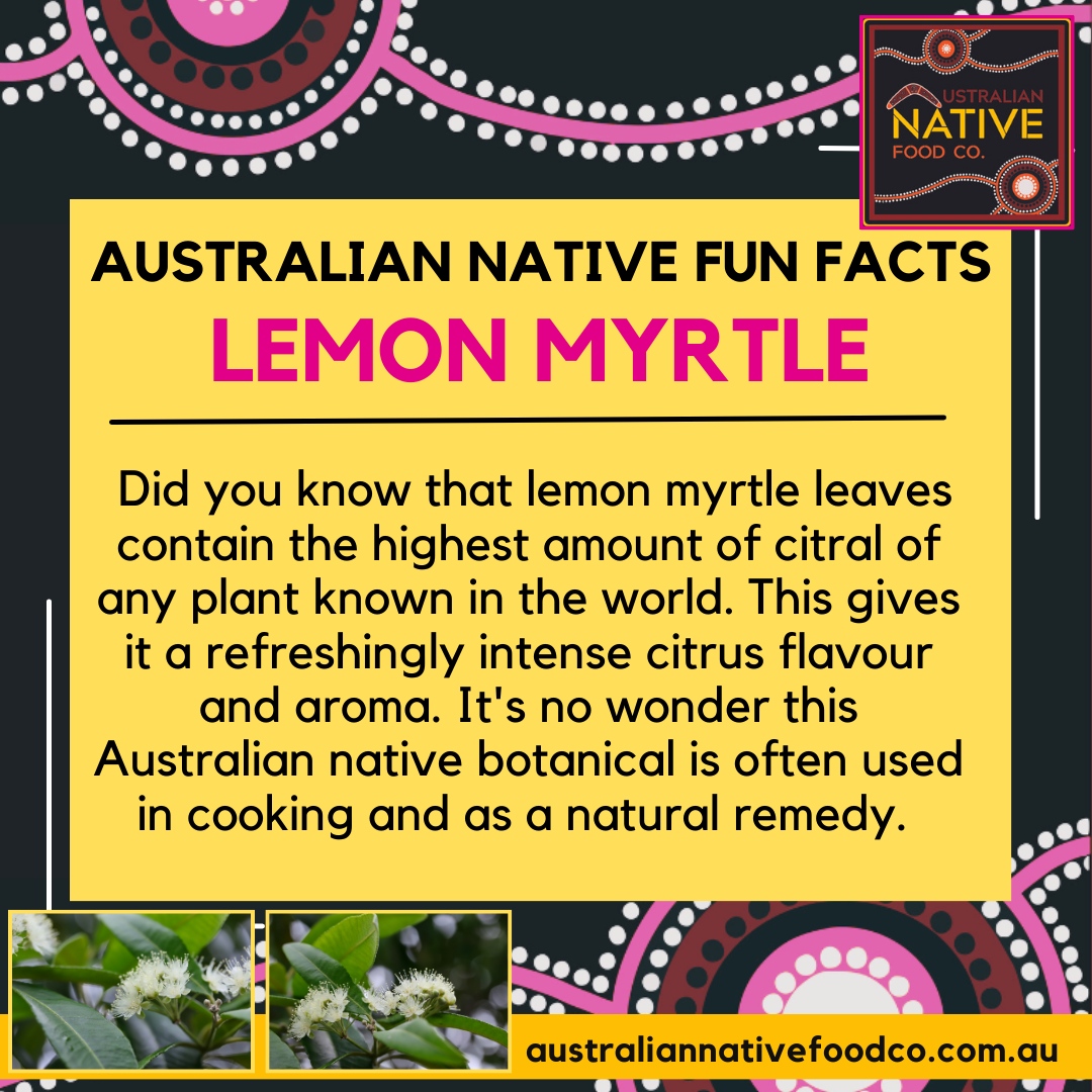 Australian Native Fun Facts :  Lemon Myrtle

⁠
To purchase products and further information visit australiannativefoodco.com.au⁠
⁠
#australiannativefoodco #nativefood #bushfood #education #bushtucker #nativechef #buysaforsa