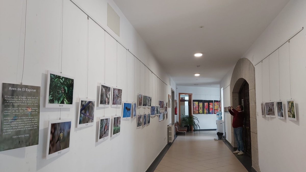 Ya está en marcha la exposición de aves de nuestro municipio. Podéis visitarla hasta el 18 de noviembre, por lo que no hace falta que sea hoy (que hace muy malo).😜