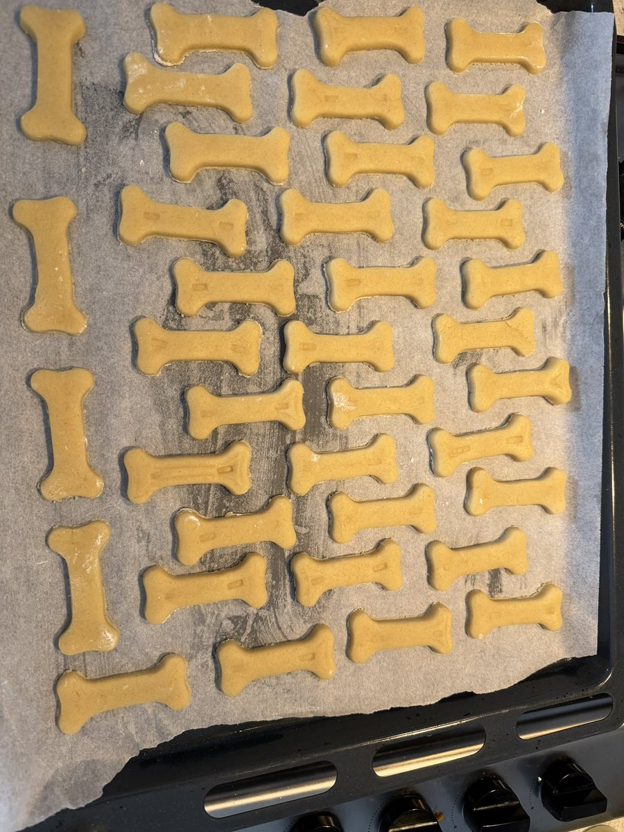 Making teatos for all the good boys at doggy weekend, if you want one come fine me😝 I require head pats in return