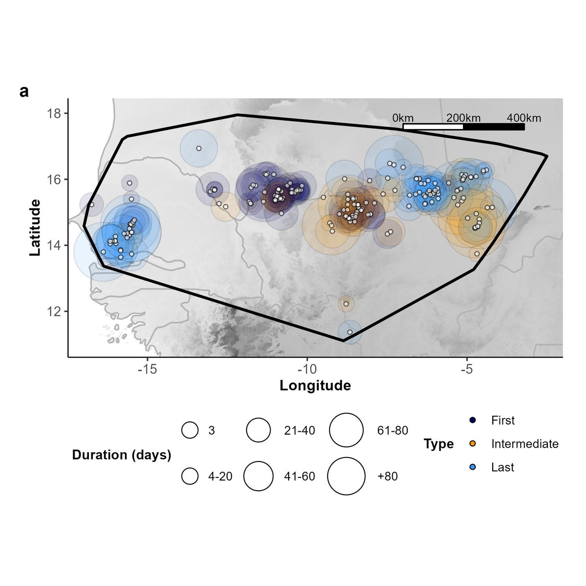 Lina L. Ricaurte tweet media