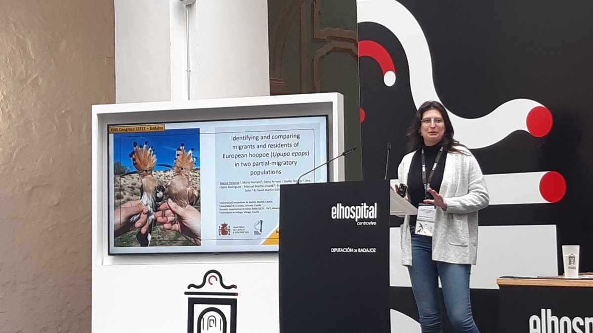 Rafa Barrientos tweet media