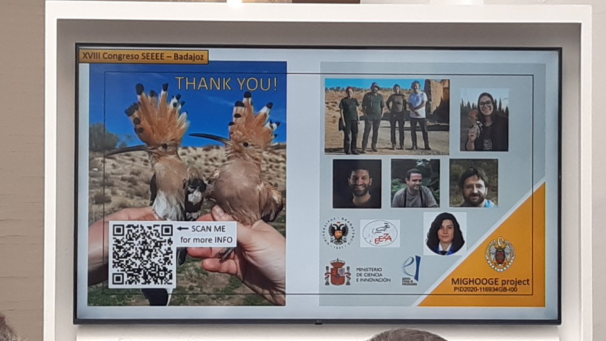 Rafa Barrientos tweet media