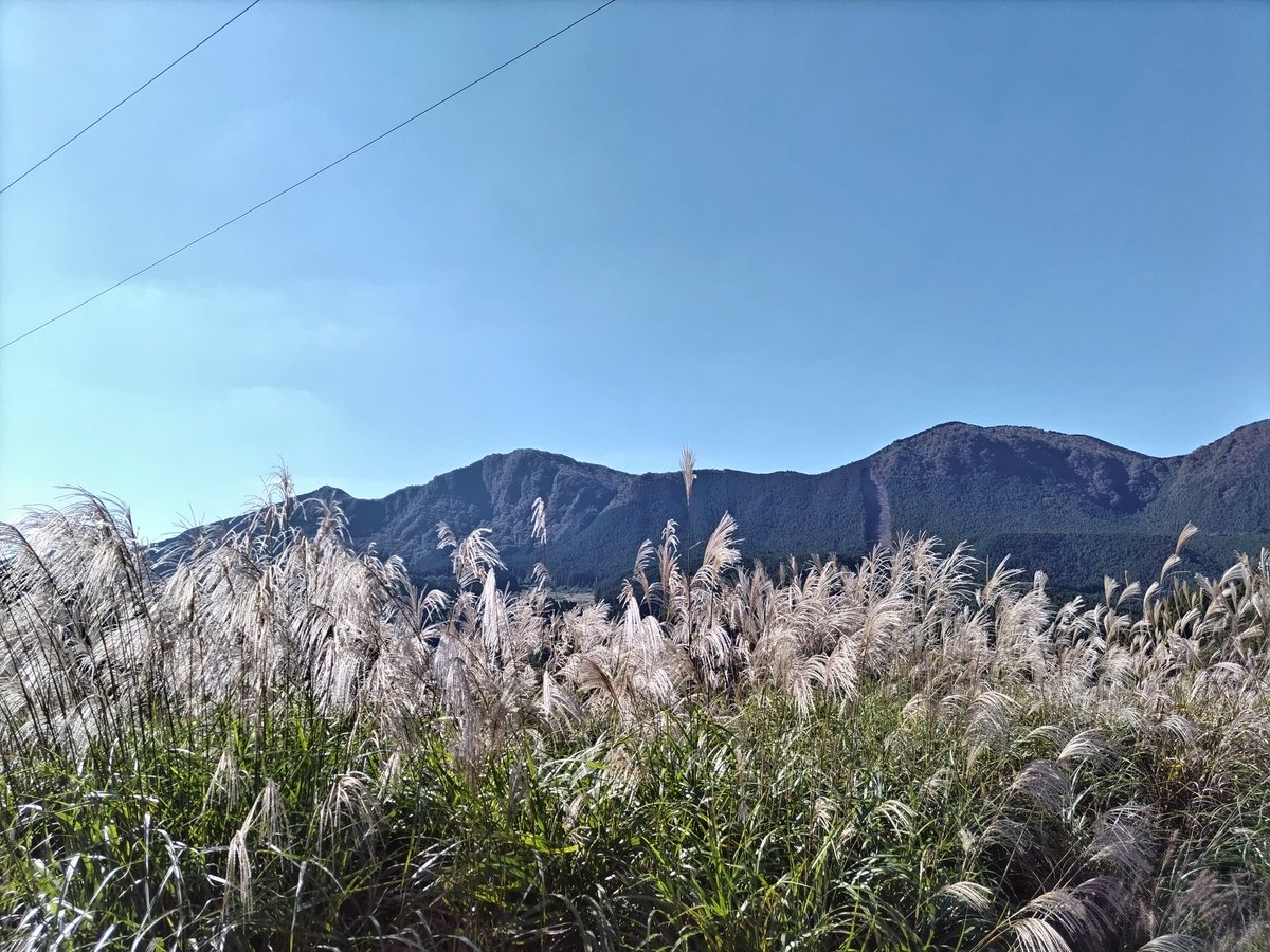 otanu0718's tweet photo. 明日、営業致しますので宜しくお願い致します🙇 https://t.co/RBaUNBZYOn